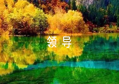 篮球一周训练计划方案表格_0